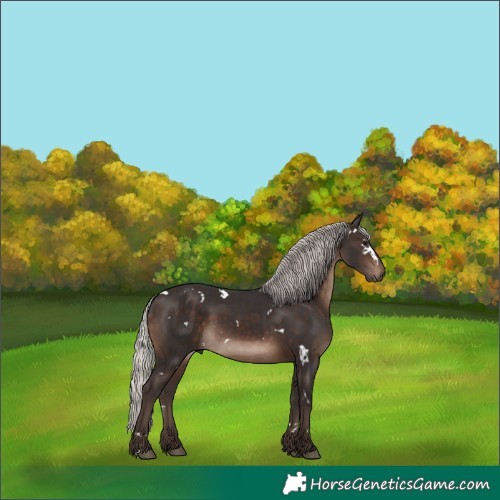 Horse Color:White Spotted Silver Brown 