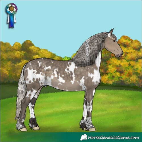 Horse Color:White Spotted Silver Smoky Grullo 