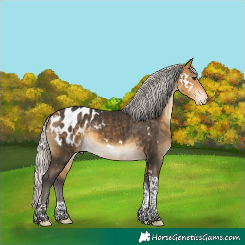 Horse Color:White Spotted Silver Buckskin Tobiano Appaloosa 