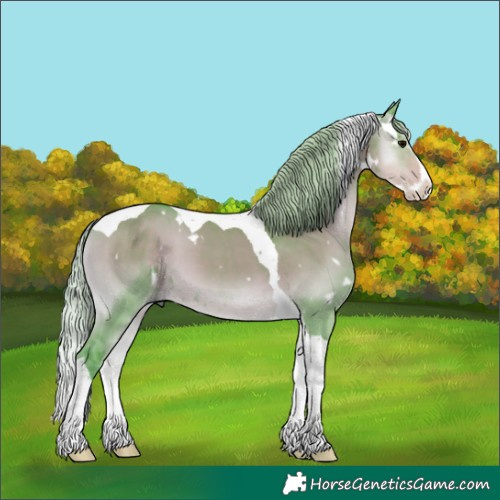 Horse Color:Watercolor White Spotted Silver Smoky Grullo Onyx Splash Tobiano