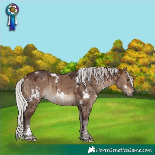 Horse Color:White Spotted Silver Brown Dun Rabicano Brindle 