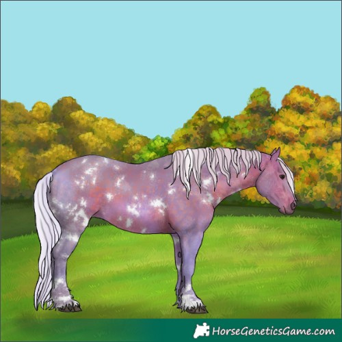 Horse Color:Watercolor White Spotted Silver Brown
