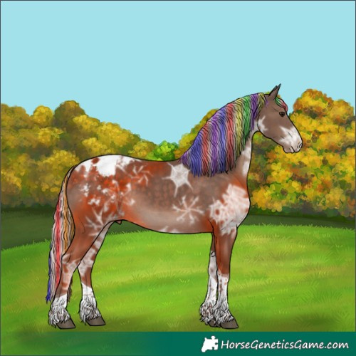 Horse Color:Painted Silver Black Ice Tobiano Appaloosa 