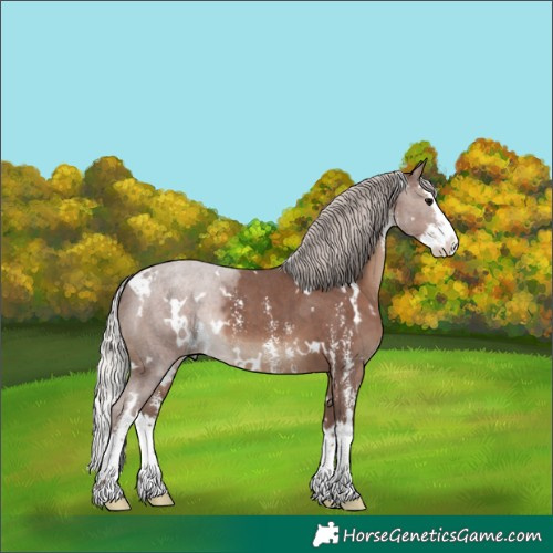 Horse Color:White Spotted Silver Black Sabino Splash