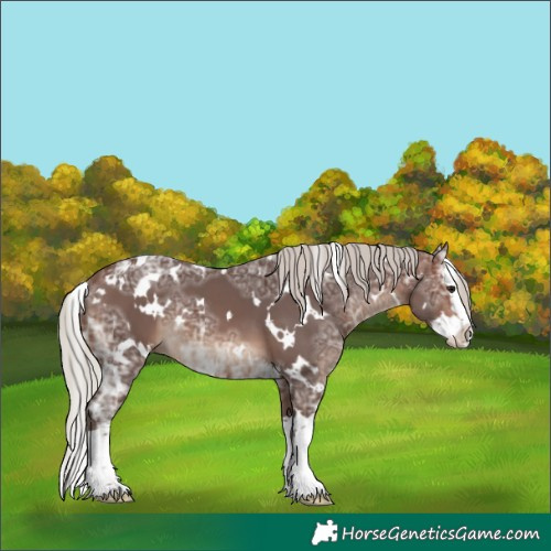 Horse Color:White Spotted Silver Brown Ice Splash