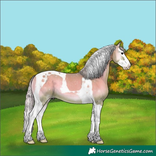 Horse Color:Watercolor Silver Blue Onyx Splash Tobiano