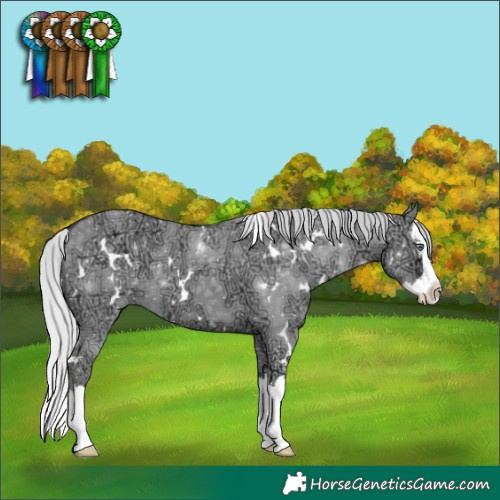 Horse Color:White Spotted Silver Grullo Chinchilla Ice Splash 