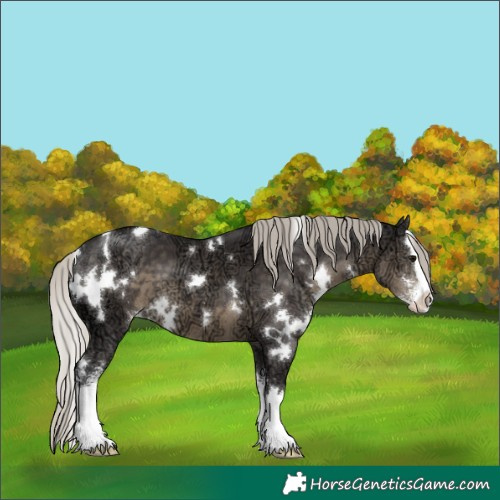 Horse Color:White Spotted Silver Smoky Black Ice Sabino Splash