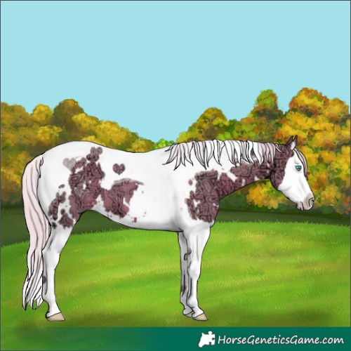 Horse Color:Watercolor White Spotted Silver Black Ice Splash Tobiano