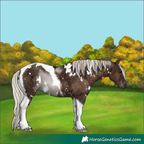 Horse Color:White Spotted Silver Black Ice Tobiano
