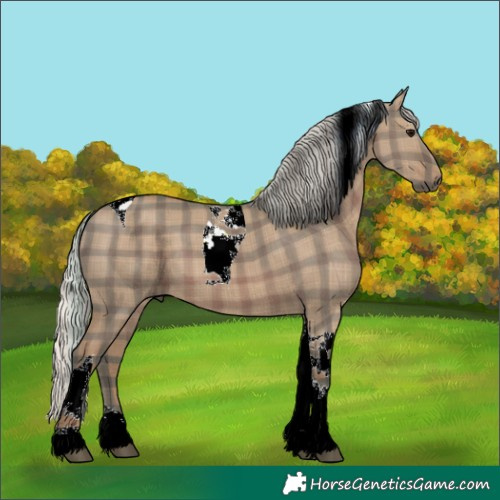 Horse Color:Plaid Silver Grullo Tobiano