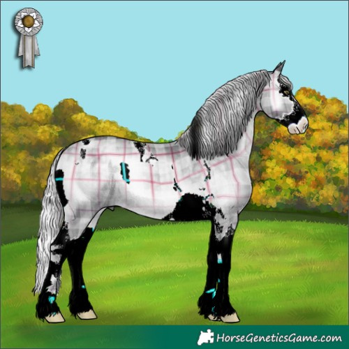 Horse Color:Plaid Silver Blue Onyx Chinchilla Splash Tobiano