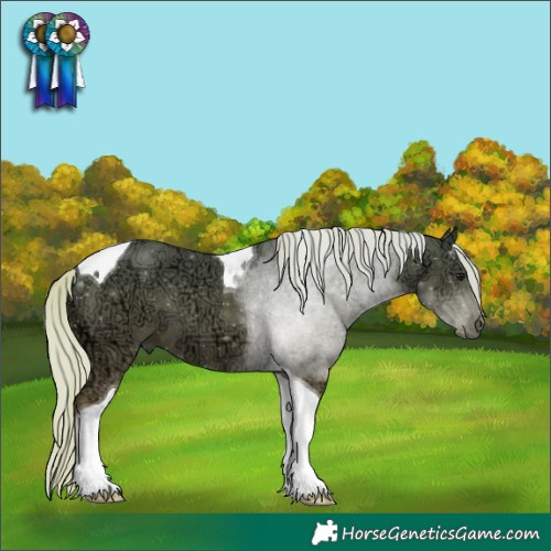 Horse Color:Silver Black Ice Tobiano