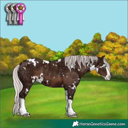 Horse Color:White Spotted Silver Black Ice Splash 