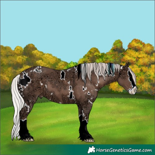 Horse Color:White Spotted Silver Black Ice Splash