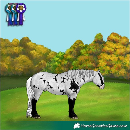 Horse Color:White Spotted Silver Brown Chinchilla Ice Dun Splash