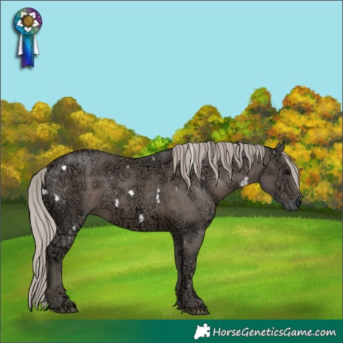 Horse Color:White Spotted Silver Black Ice