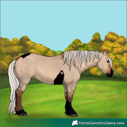 Horse Color:Void Silver Brown Dun Splash Tobiano Rabicano 
