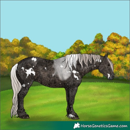 Horse Color:White Spotted Silver Black Ice 