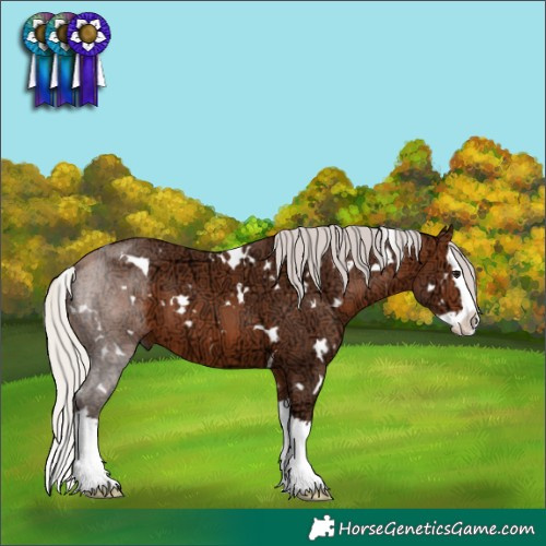 Horse Color:White Spotted Silver Brown Ice Splash