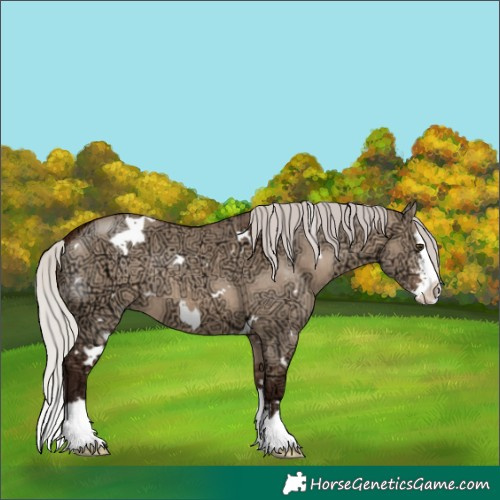 Horse Color:White Spotted Silver Brown Ice Dun Sabino Splash 