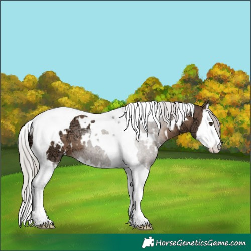 Horse Color:White Spotted Silver Brown Ice Dun Splash Tobiano 