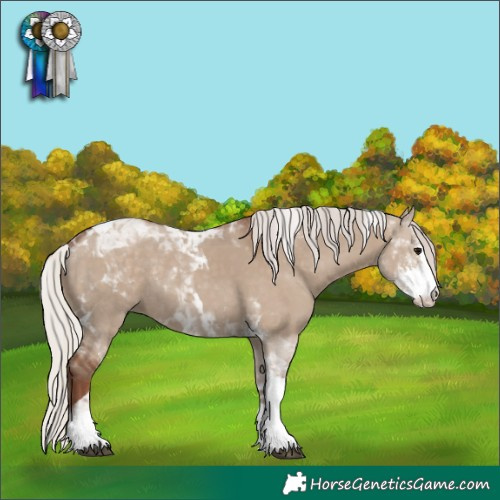 Horse Color:Silver Grullo Sabino Tobiano 