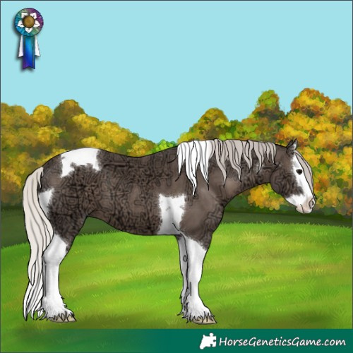 Horse Color:Silver Black Ice Splash Tobiano