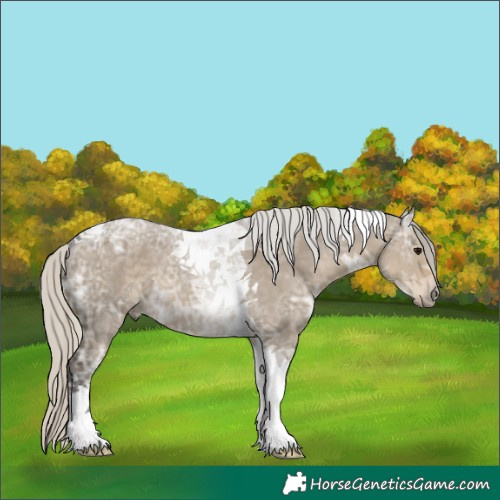 Horse Color:Silver Smoky Grullo Ice Tobiano