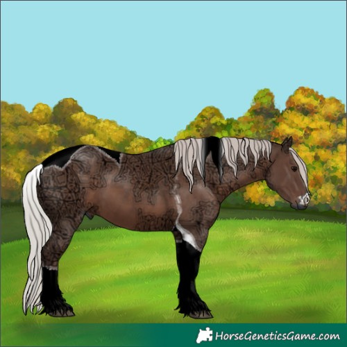 Horse Color:Silver Black Ice Tobiano
