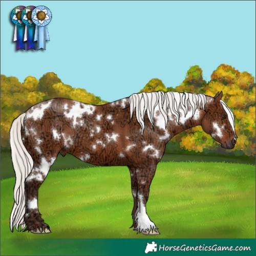 Horse Color:White Spotted Silver Bay Ice 