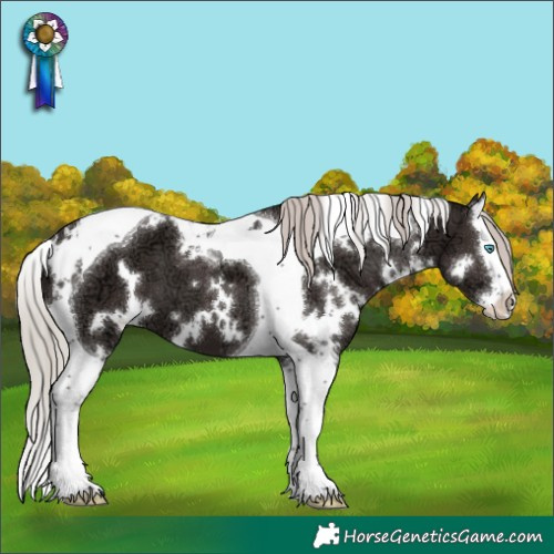 Horse Color:White Spotted Silver Black Ice Splash Tobiano