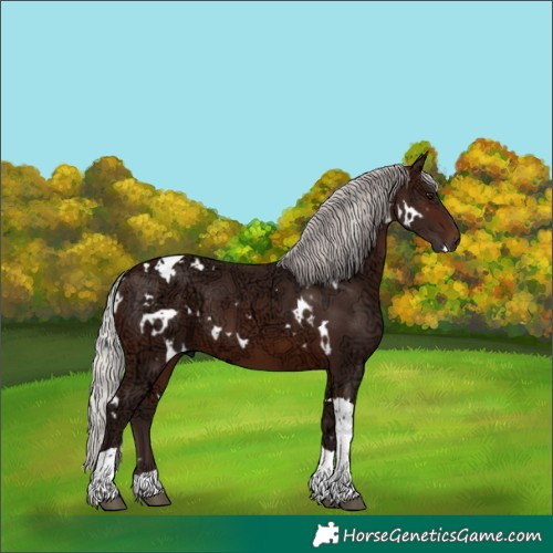 Horse Color:White Spotted Silver Brown Ice Tobiano 