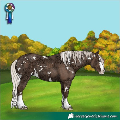 Horse Color:White Spotted Silver Black Ice Splash 