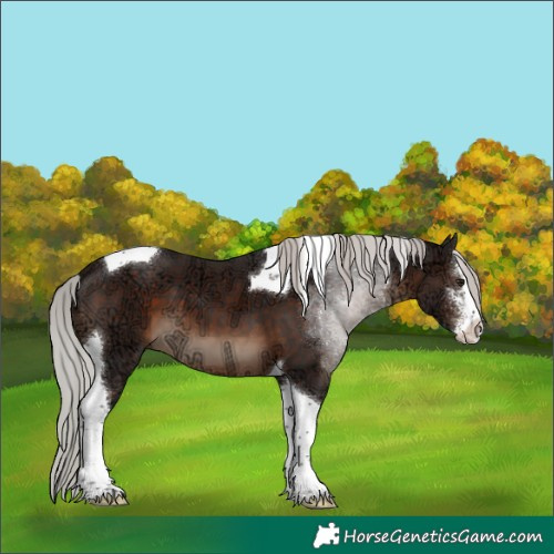 Horse Color:Silver Brown Ice Sabino Tobiano 