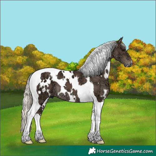 Horse Color:White Spotted Silver Black Ice Tobiano