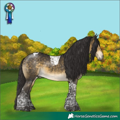 Horse Color:Buckskin Mushroom Tobiano 