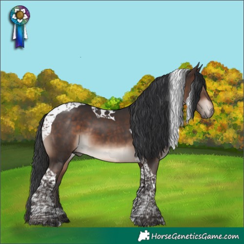 Horse Color:Bay Mushroom Tobiano