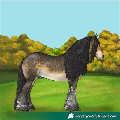 Horse Color:Buckskin Mushroom Tobiano 