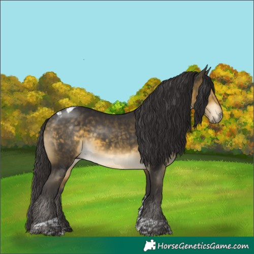 Horse Color:Buckskin Mushroom Tobiano
