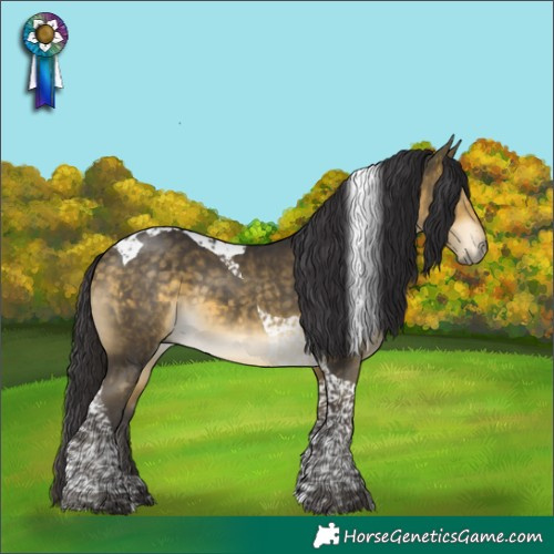 Horse Color:Buckskin Mushroom Tobiano 
