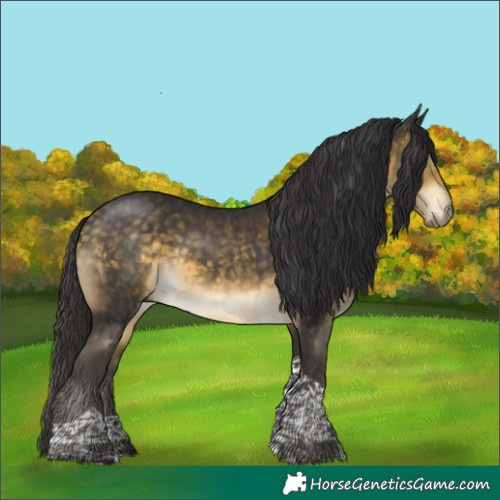 Horse Color:Buckskin Mushroom Tobiano 