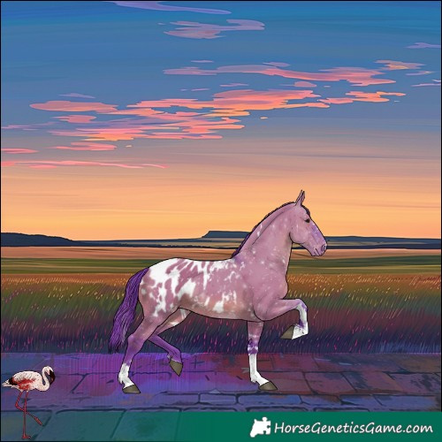 Horse Color:Watercolor White Spotted Grullo Tobiano Blanket