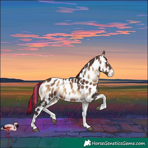 Horse Color:Painted White Spotted Bay Onyx Tobiano Near Leopard