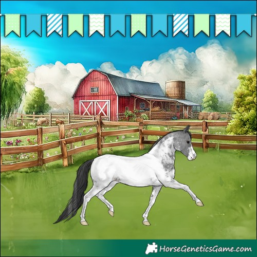 Horse Color:Blue Roan Sabino Near Fewspot 