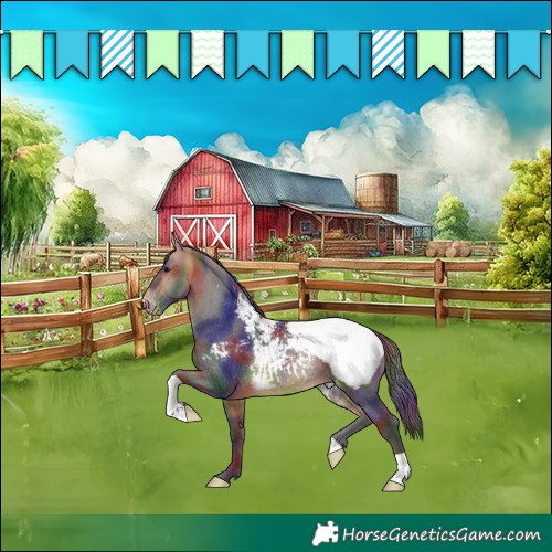 Horse Color:Nacre Buckskin Snowcap Rabicano