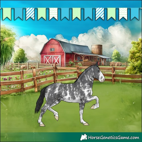 Horse Color:Black Sabino Snowcap 