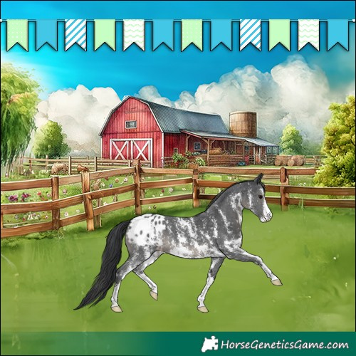 Horse Color:Black Sabino Blanket 