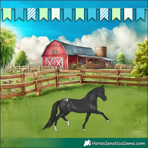 Horse Color:Black Varnish 