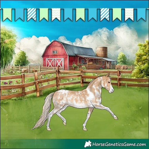 Horse Color:Palomino Sabino Blanket 